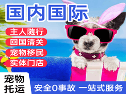 扎兰屯空运代理国际宠物托运 【国